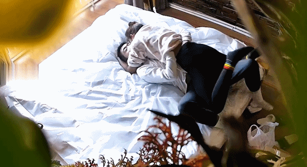 zgprmj.gif