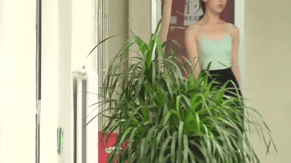 DM_20250829140429_035.gif
