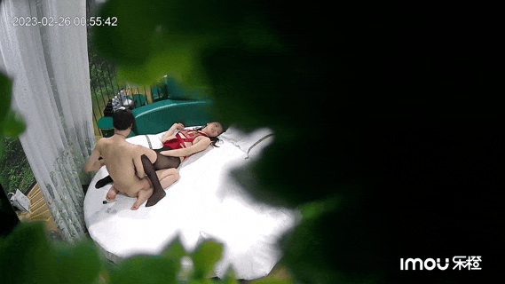 Z11.GIF