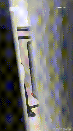 7DQ2MJfj_o.gif