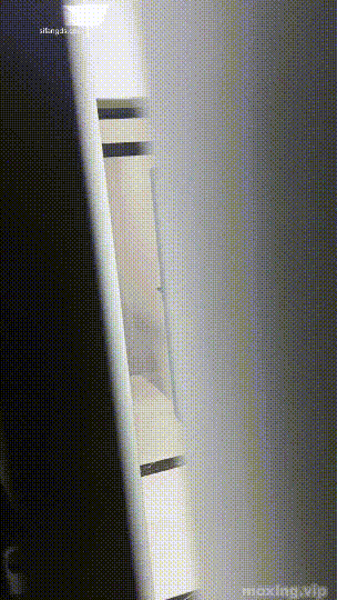 H0WiFa26_o.gif