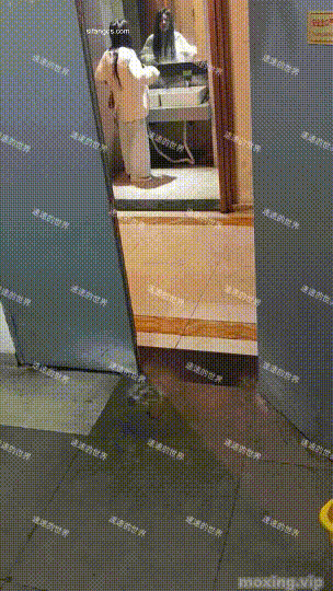 oa0Xdfis_o.gif