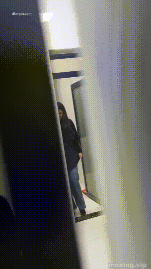 Yp9533xD_o.gif