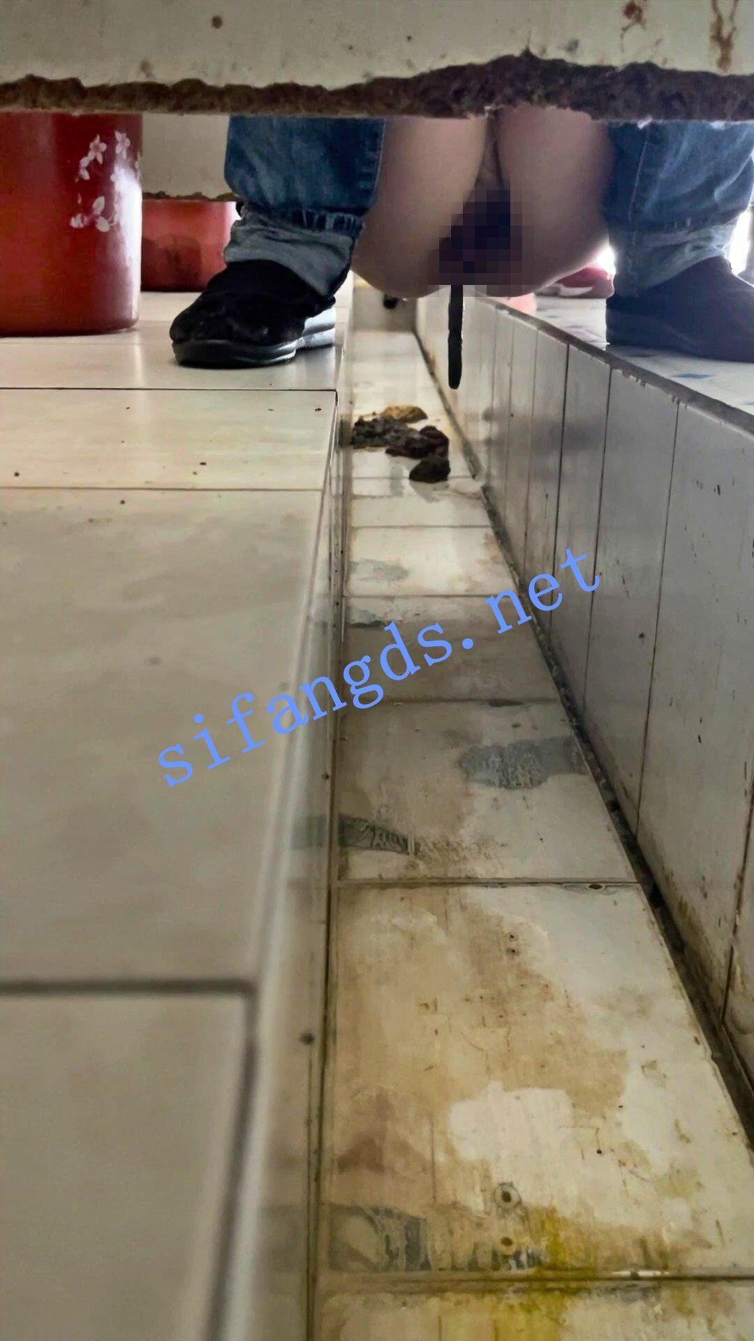 ✅【重口厕拍】女拍手沟式旱厕偷拍-满屏大便 拉稀第33期