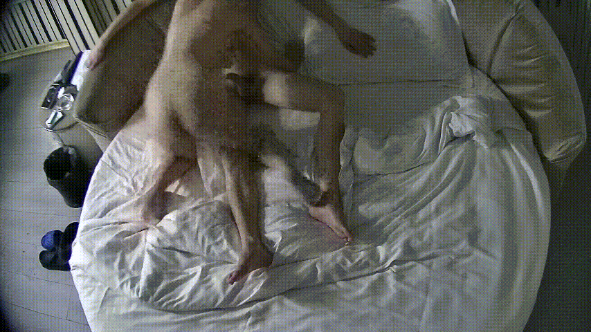 ⁸¹⛳⛳⛳ 情趣台 10-26 妓女小姐姐接客 来了个精瘦的小年轻 妓女小姐口一下操一下 小伙子实力差得很呐