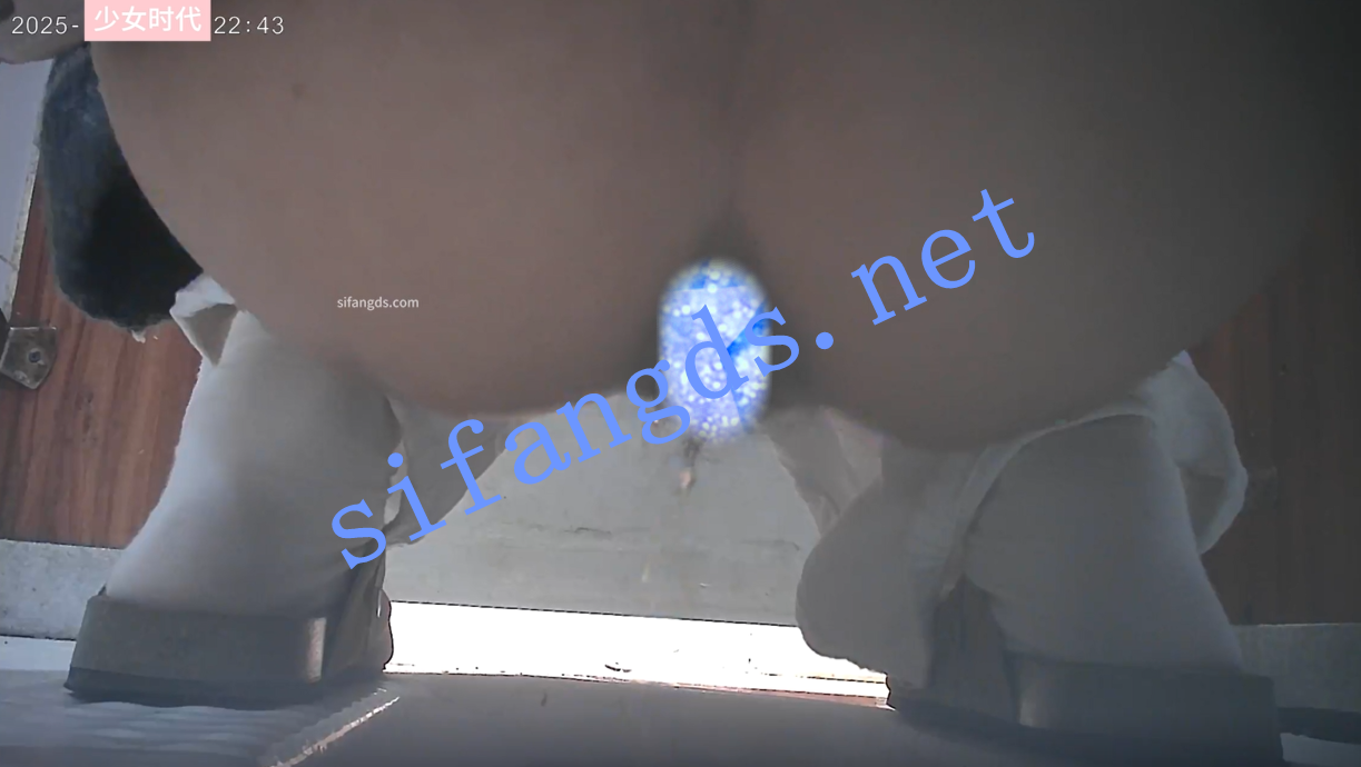 【独家CP】看十多位女神入厕时骚穴和菊花的不同姿态