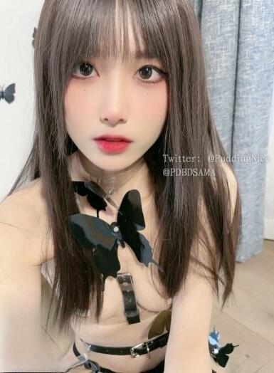 极品福利姬 布丁大法 写真+视频合集